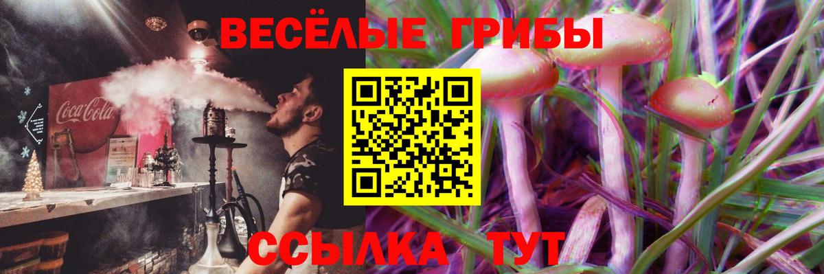 где можно купить наркотик  Вход с VPN  Саранск  Псилоцибиновые грибы мицелий 
