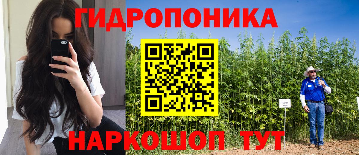 Бошки Шишки индика  Шишки марихуана MAZAR  Саранск  Вход с VPN  МАРИХУАНА планчик 